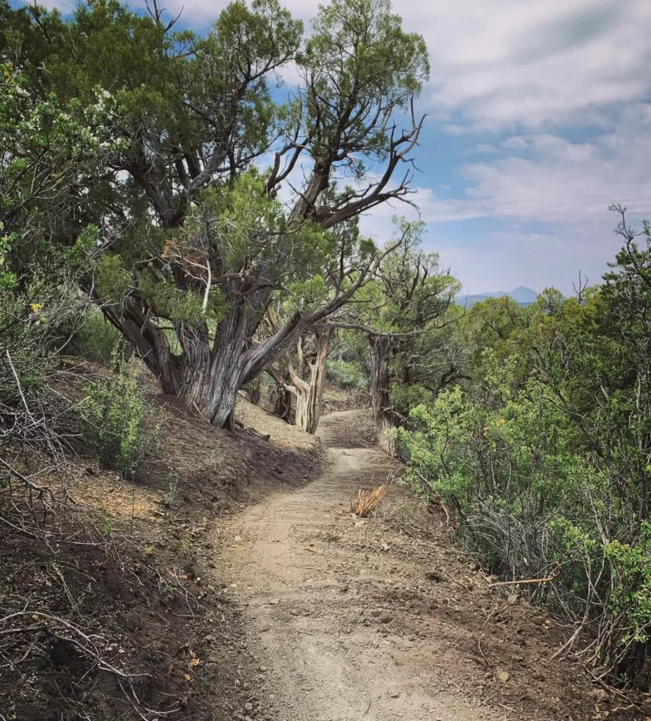 Aqueduct Trails