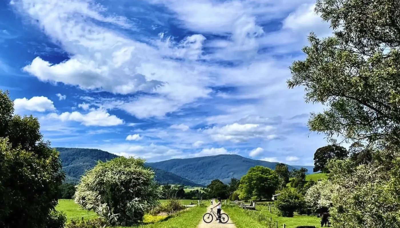 Lilydale to Warburton Rail Trail