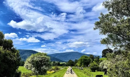 Lilydale to Warburton Rail Trail