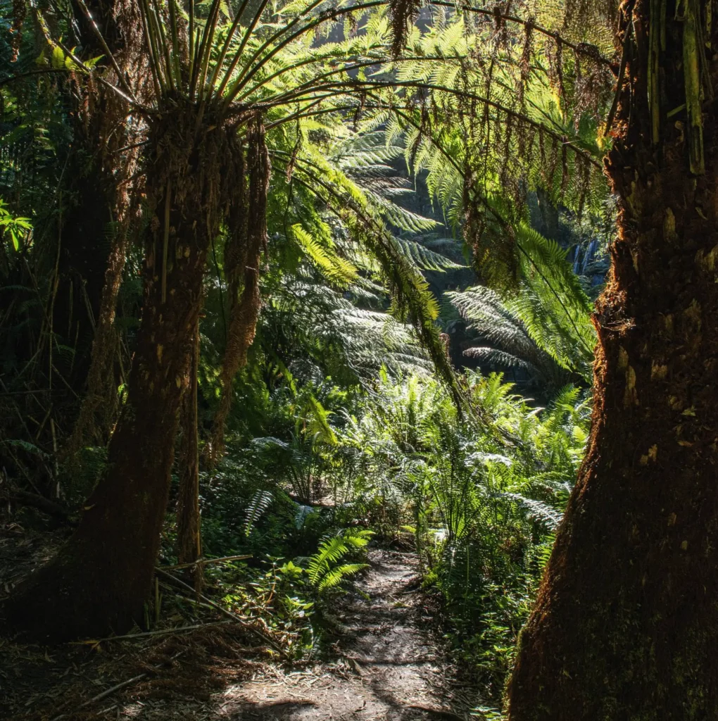 Otway tours