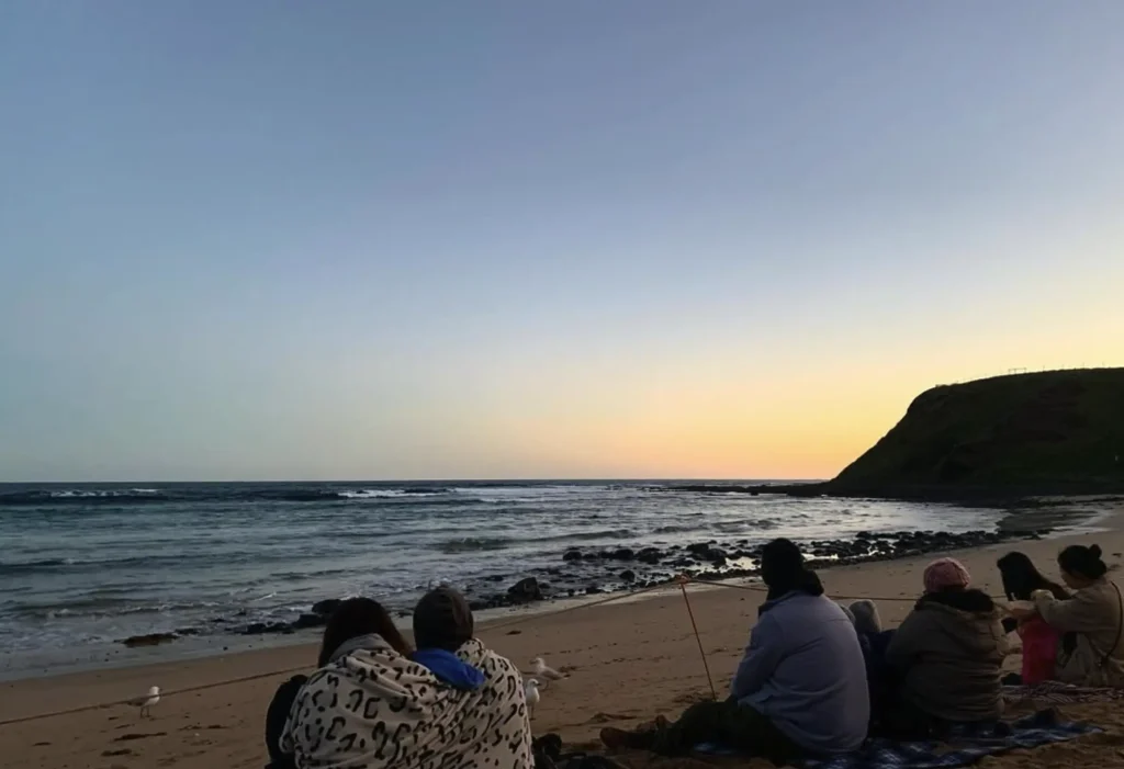 Penguin Parade tour