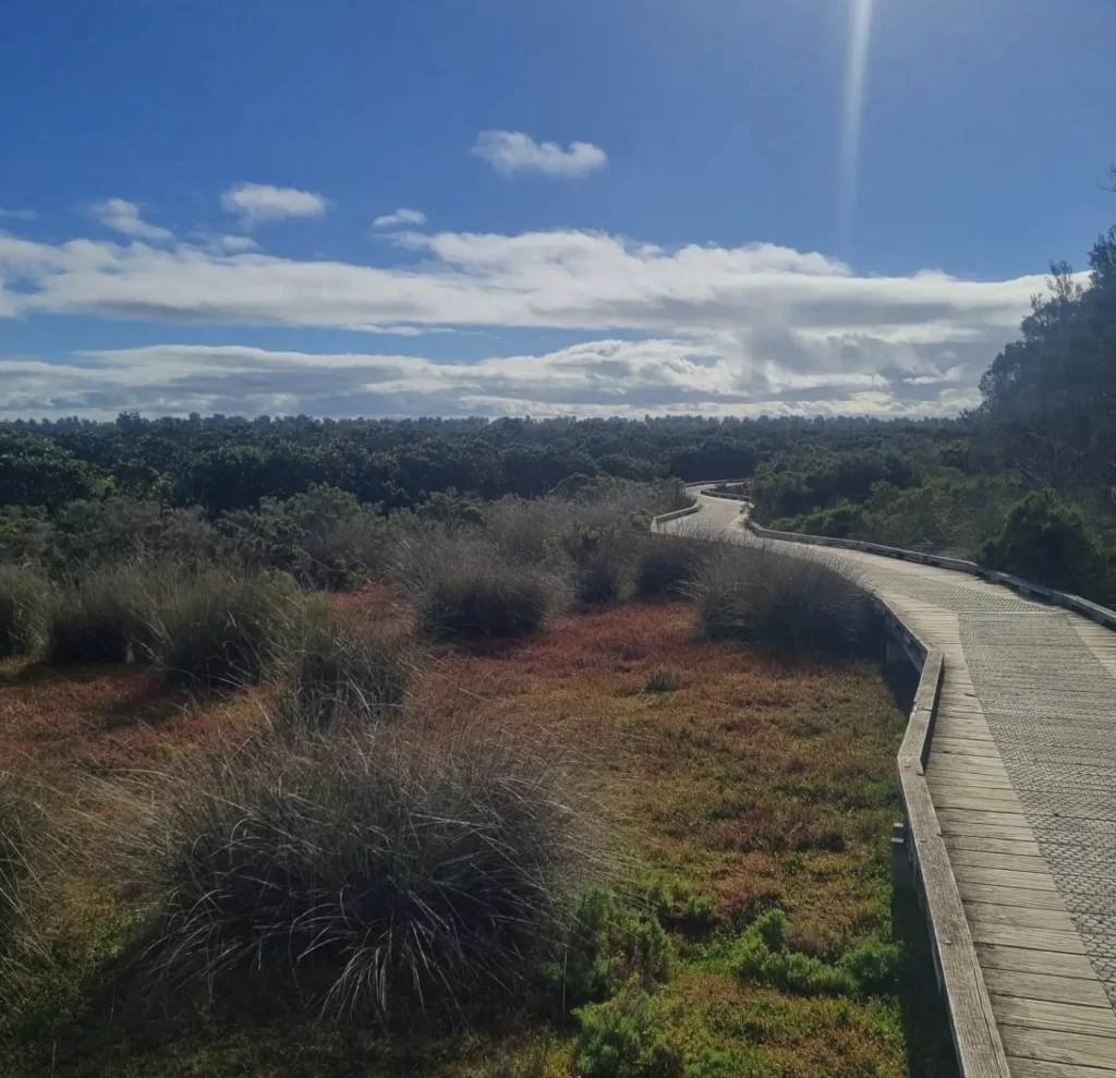 Rhyll Inlet