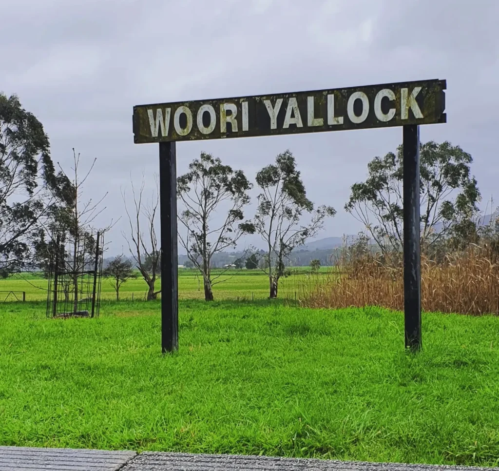 Woori Yallock